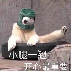 示例图片
